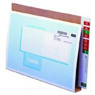 Codafile Standard File Heavy Weight Capacity 40mm